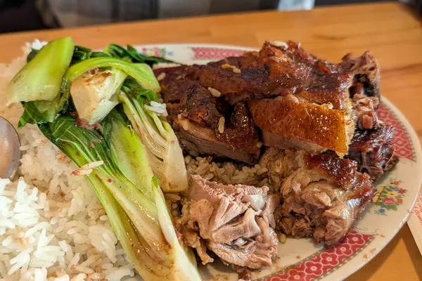 Cantonese roast duck over rice with baby bok choy on a floral-rimmed plate at light cantine