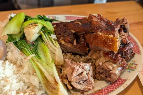 Cantonese roast duck over rice with baby bok choy on a floral-rimmed plate at light cantine
